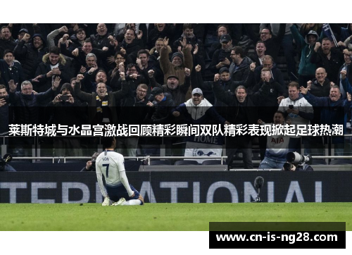 莱斯特城与水晶宫激战回顾精彩瞬间双队精彩表现掀起足球热潮 莱斯特城与水晶宫激战回顾精彩瞬间双队精彩表现掀起足球热潮