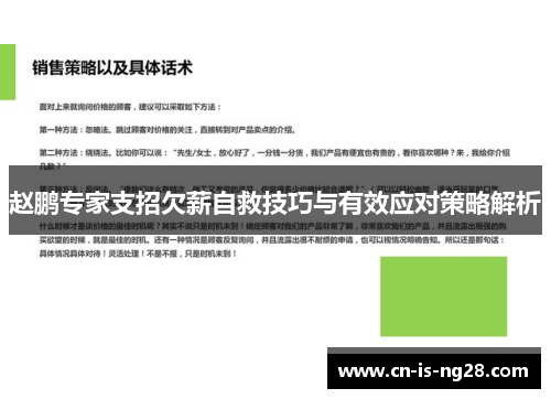 赵鹏专家支招欠薪自救技巧与有效应对策略解析 赵鹏专家支招欠薪自救技巧与有效应对策略解析