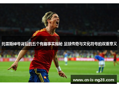 托雷斯绰号背后的五个有趣事实揭秘 足球传奇与文化符号的双重意义 托雷斯绰号背后的五个有趣事实揭秘 足球传奇与文化符号的双重意义