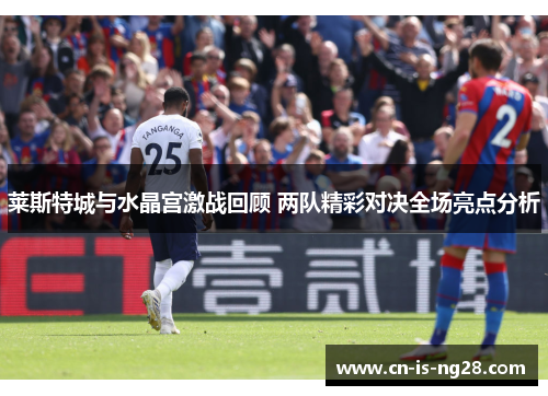 莱斯特城与水晶宫激战回顾 两队精彩对决全场亮点分析