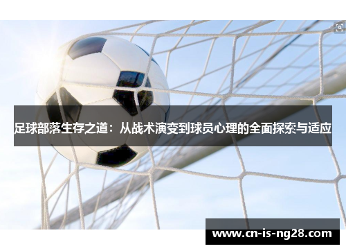 足球部落生存之道：从战术演变到球员心理的全面探索与适应